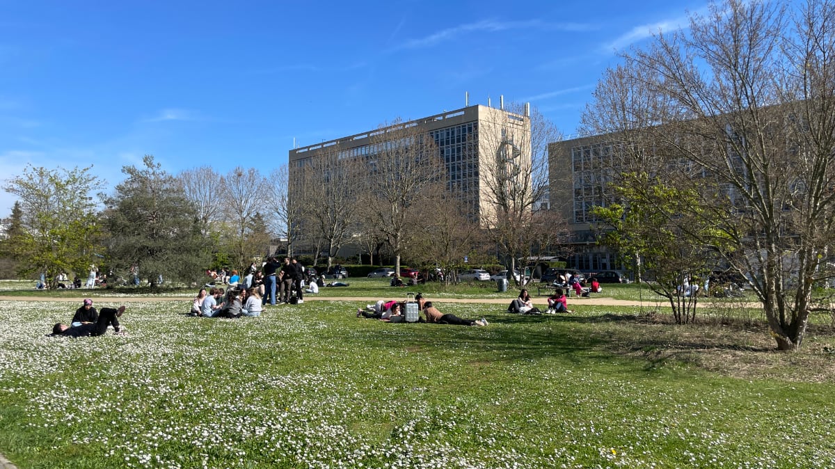 mico-nanterre-pelouse-etudiants Mico - Nanterre - Pelouse et étudiants © Université Paris Nanterre